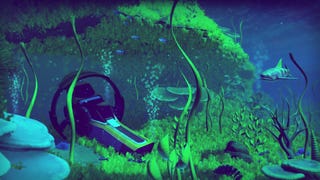 No Man's Sky might one day "reveal itself to be all it can be", says PlayStation exec