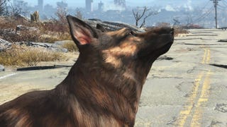 O cão de Fallout 4 não pode morrer