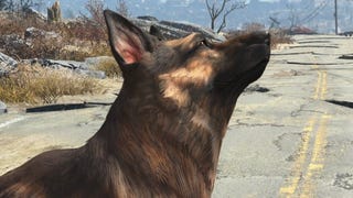 O cão de Fallout 4 não pode morrer