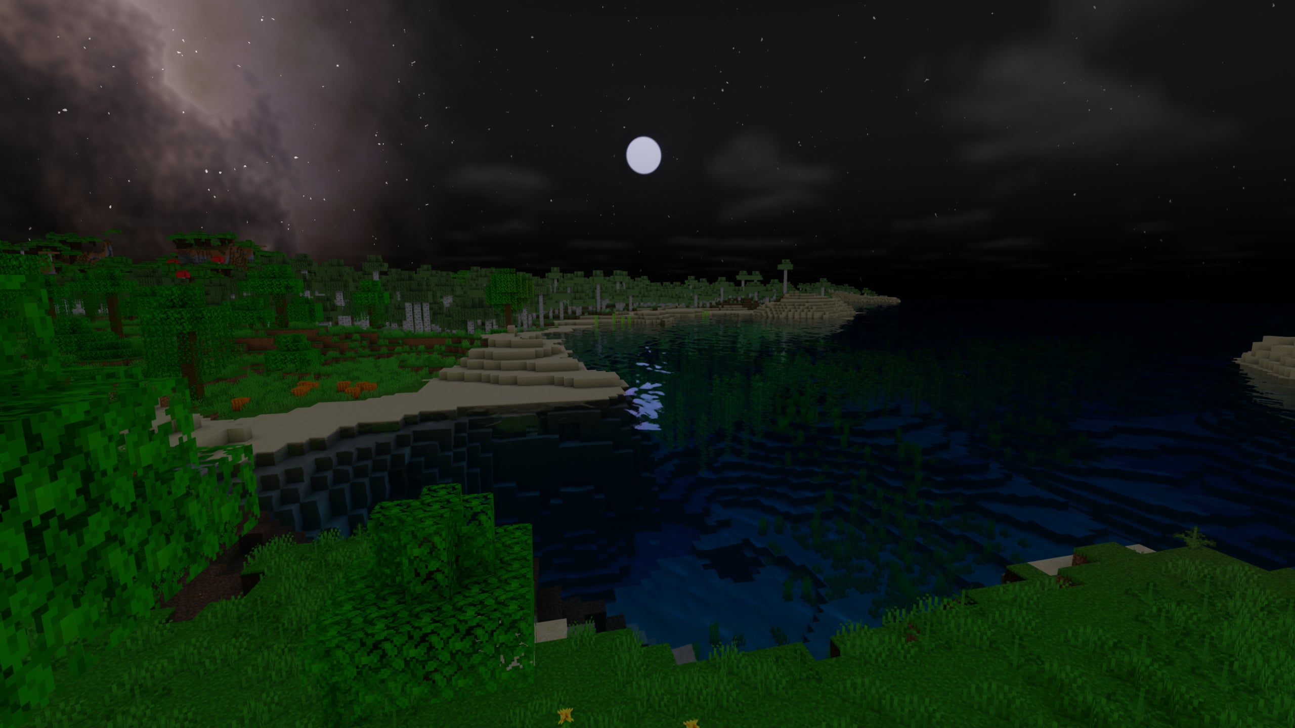 A Minecraft ocean coast at night showcasing Oceano Shaders.