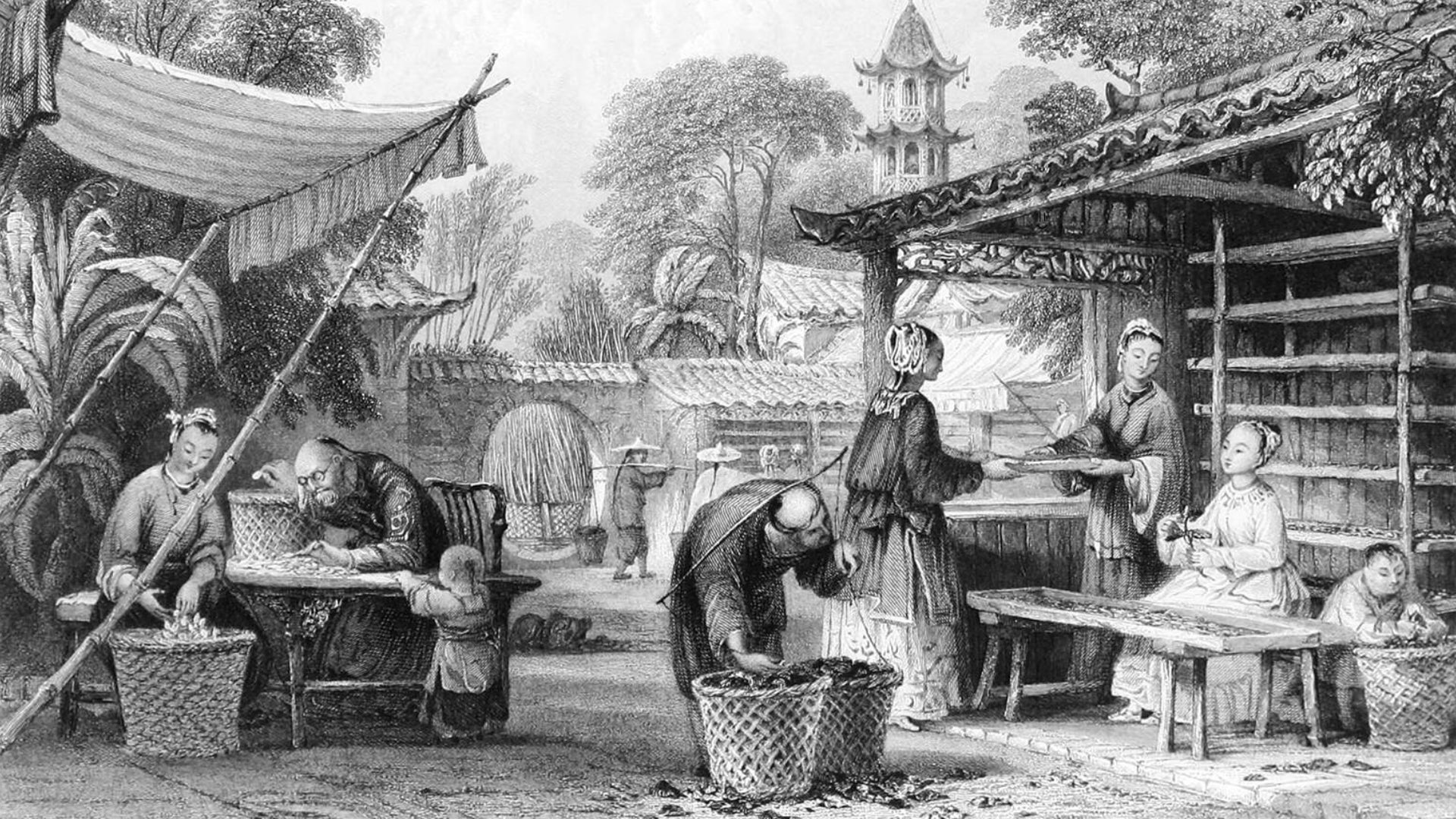 An old black and white vintage illustration of a group of people in a Chinese village taking care of silkworms. - 1