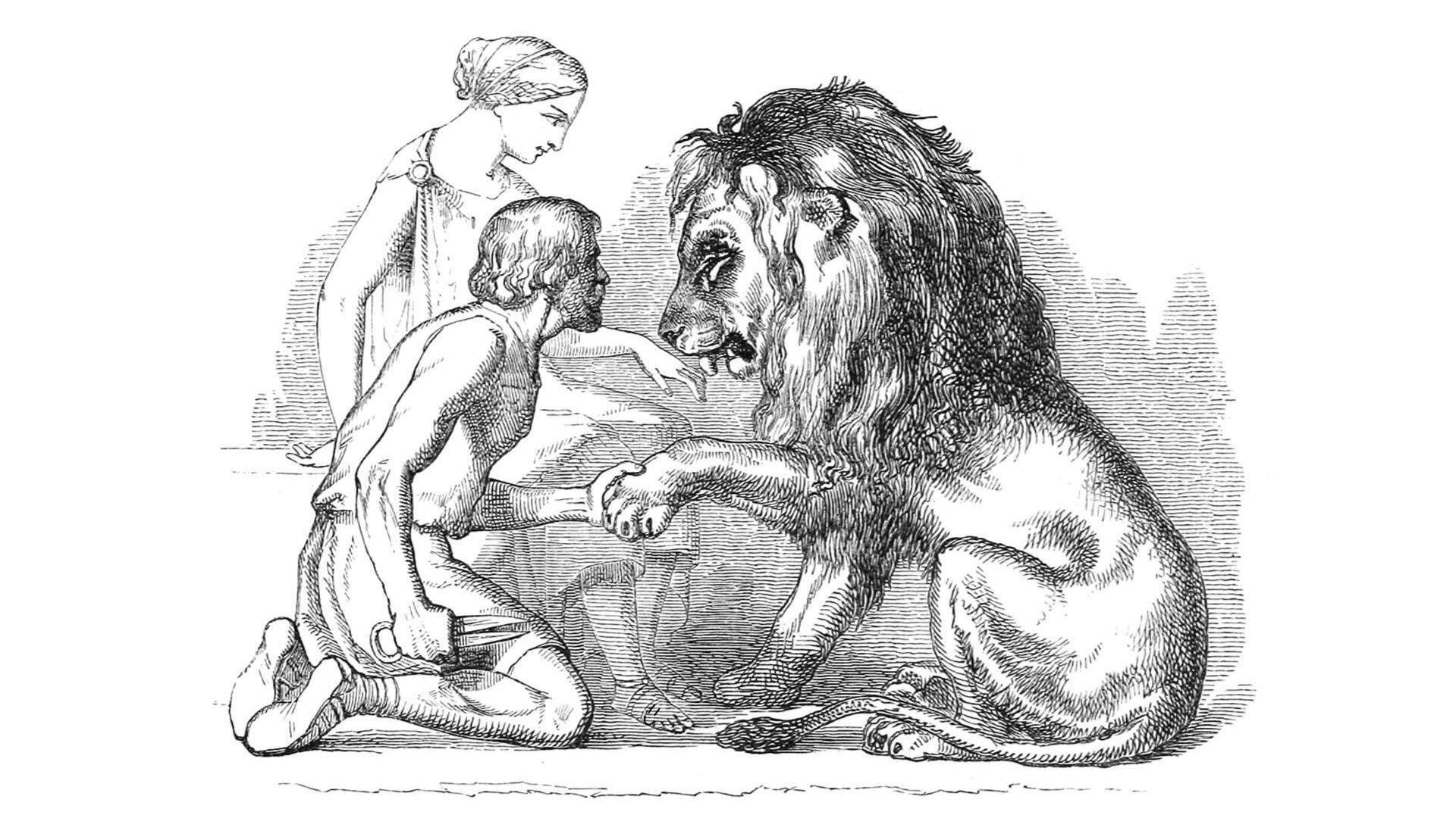 An old black and white vintage illustration of a lion licking a young woman’s hand while letting the man kneeling before him take its paw to clip its claws. - 1