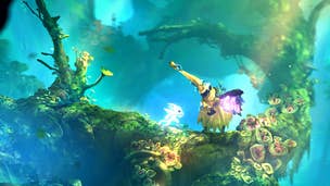 Ori and the Will of the Wisps Switch sales raised $58,000 for the Rainforest Trust