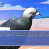 Hatoful Boyfriend screenshot