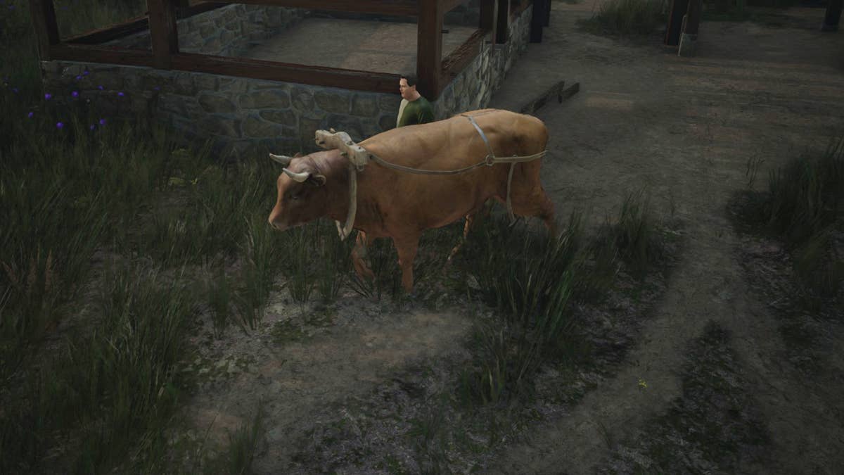 Manor Lords: How to get more Oxen | Rock Paper Shotgun