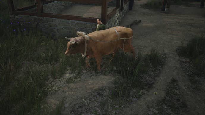 An ox led by a peasant in Manor Lords.