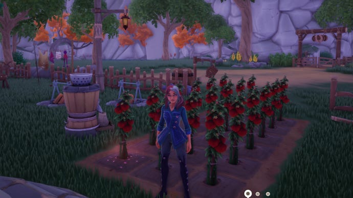 Screenshot of a Tomato garden in Palia.