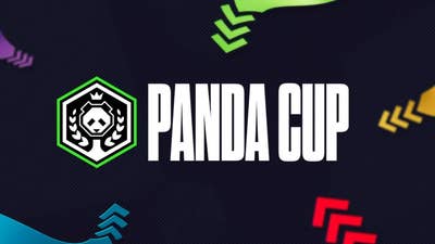 Panda Global CEO removed, cup final postponed after Smash Bros esports controversy