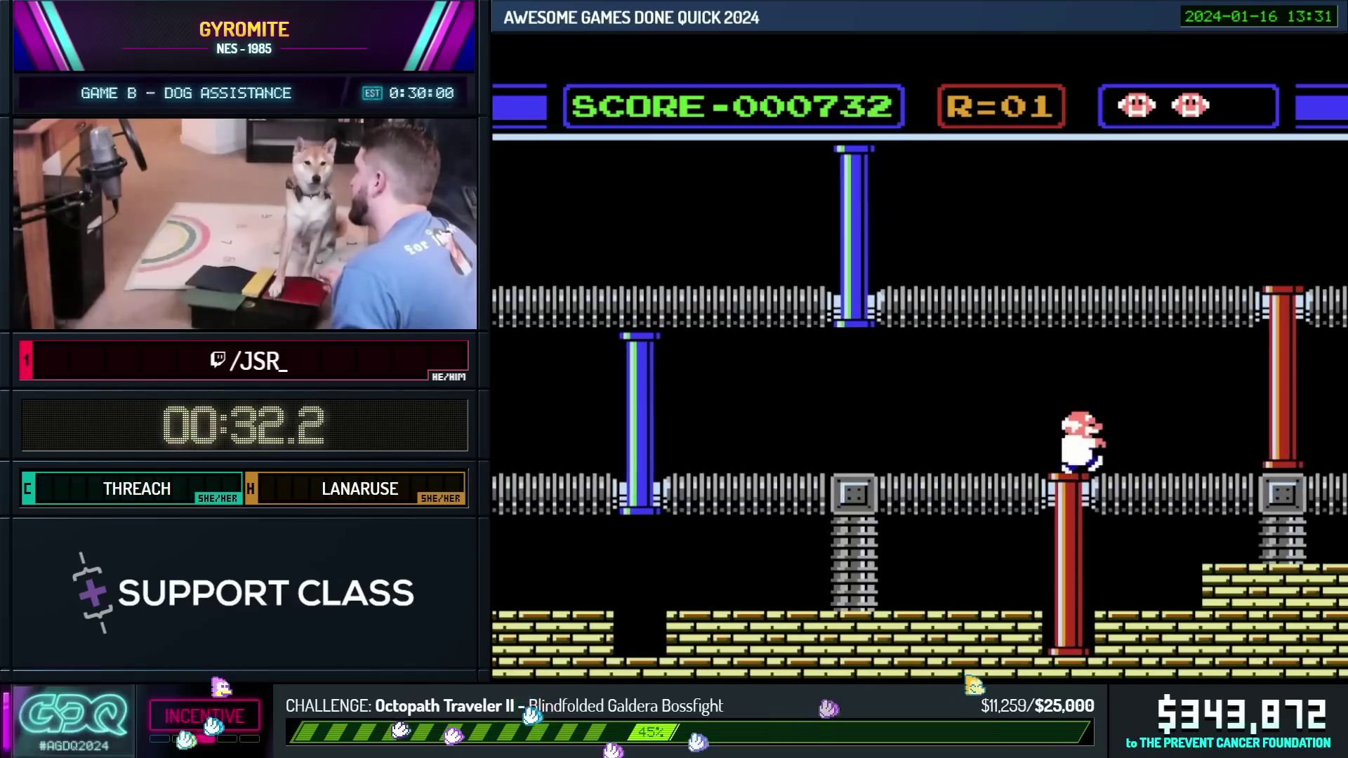 Peanut Butter the shiba inu pressing a button at the direction of his owner, speedrunner JSR_, as they stream Gyromite for Games Done Quick - 1