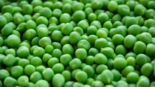 A close-up picture of a bunch of green peas