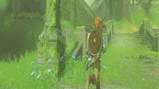 Pequeños detalles: The Legend of Zelda Breath of the Wild