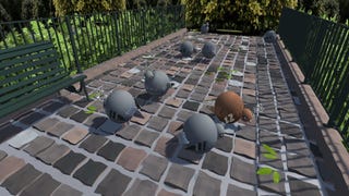 Feed, chase, and pet fat pigeons in this cute free game