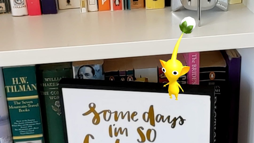 Blooming heck, Pikmin Finder lets you hunt creatures in your house