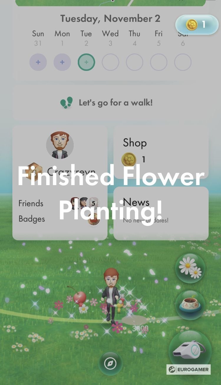 Pikmin Bloom Flowers Big flowers, how to get petals and plant flowers