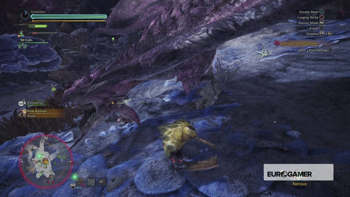 Monster Hunter World - ??? Rathian Tracks and Pink Rathian