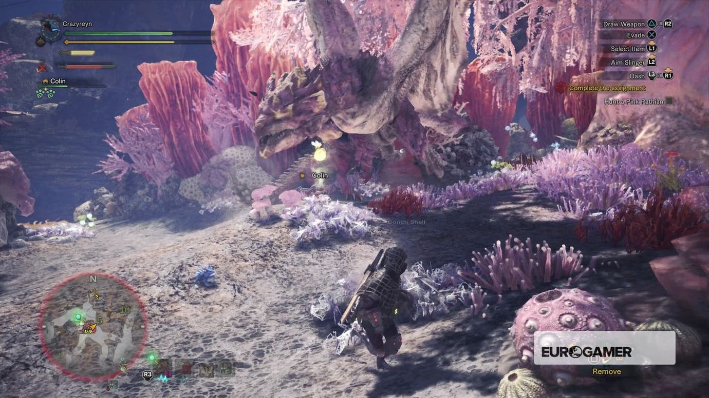 Monster Hunter World - ??? Rathian Tracks and Pink Rathian strategy ...