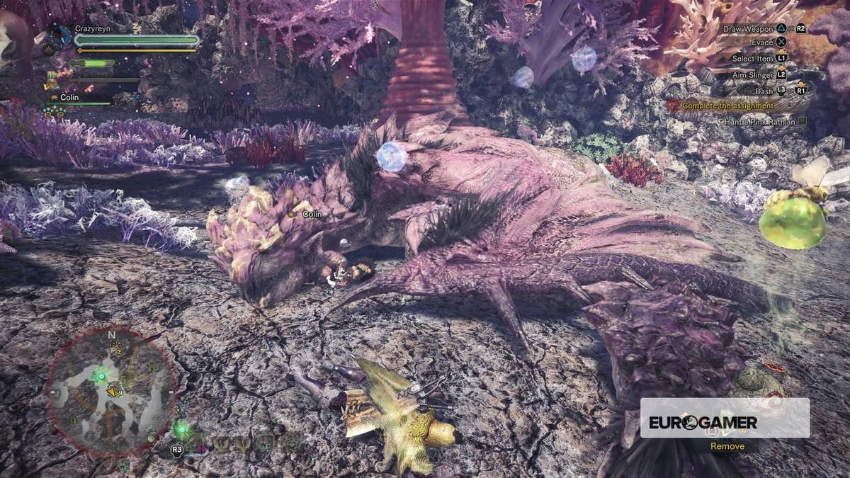 Monster Hunter World - ??? Rathian Tracks and Pink Rathian