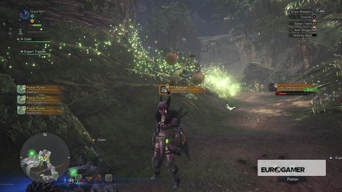 Monster Hunter World Search For Rathian Tracks Monster Hunter World - ??? Rathian Tracks and Pink Rathian strategy