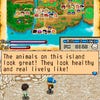 Harvest Moon DS: Island of Happiness screenshot