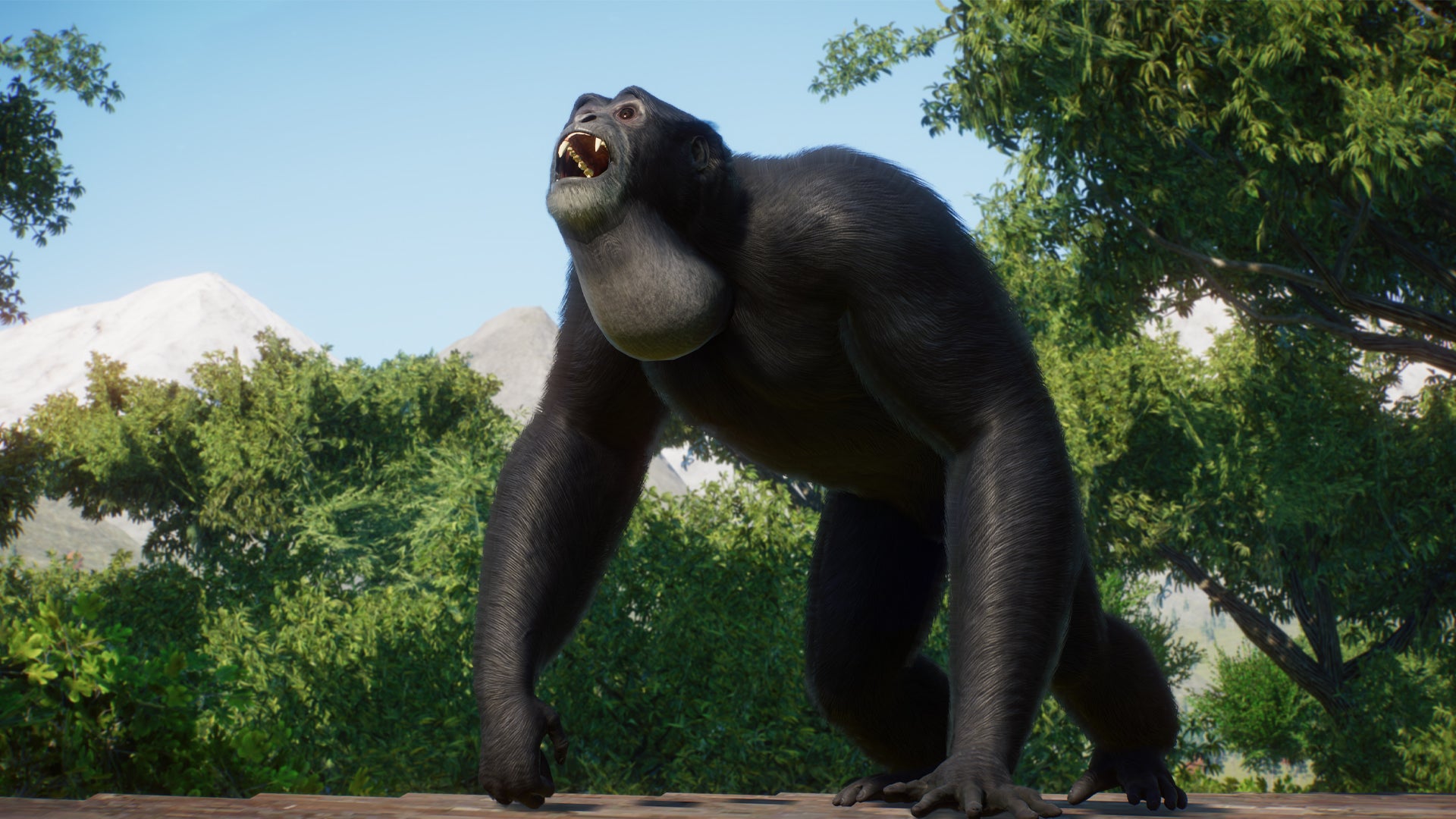 Planet Zoo
