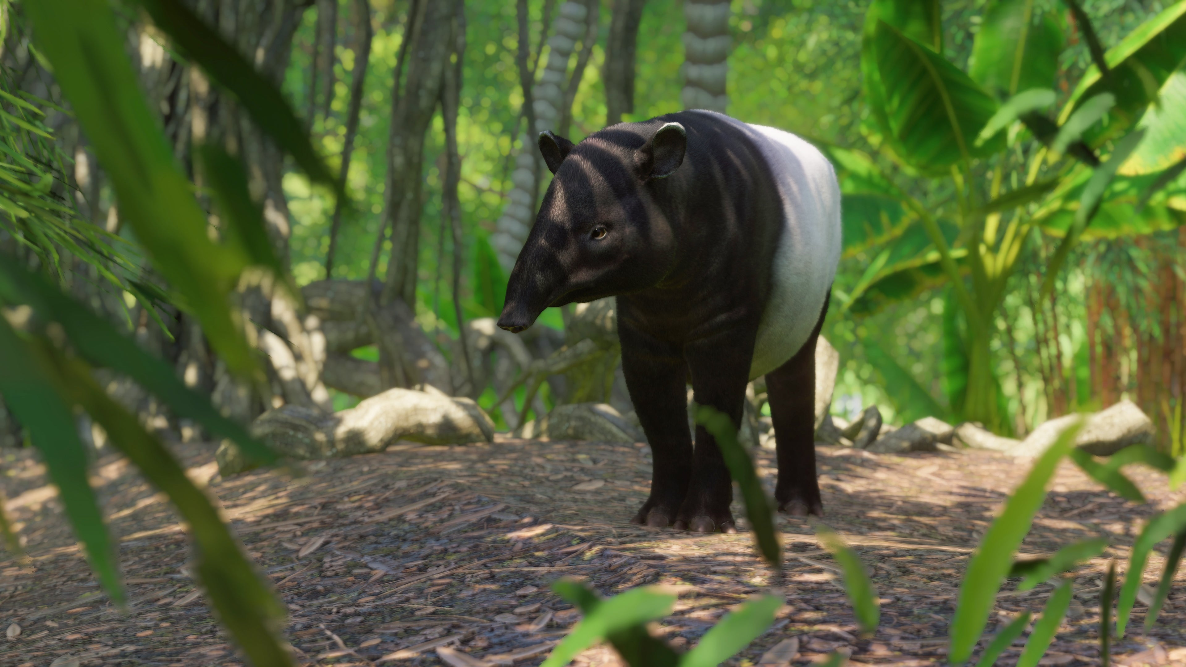 Planet Zoo - 9
