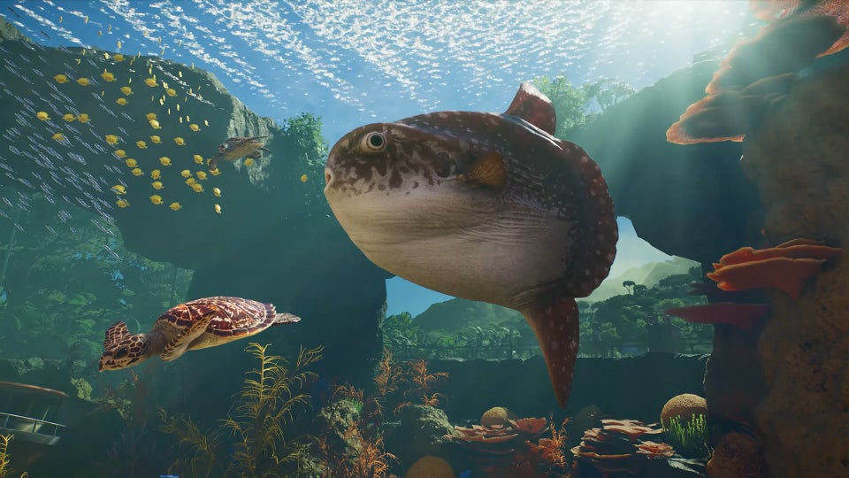 This week in PC games: play a human-eating Katamari from outer space, take over a nature reserve in Planet Zoo 2, and battle Napoleonic body horror in Valor Mortis