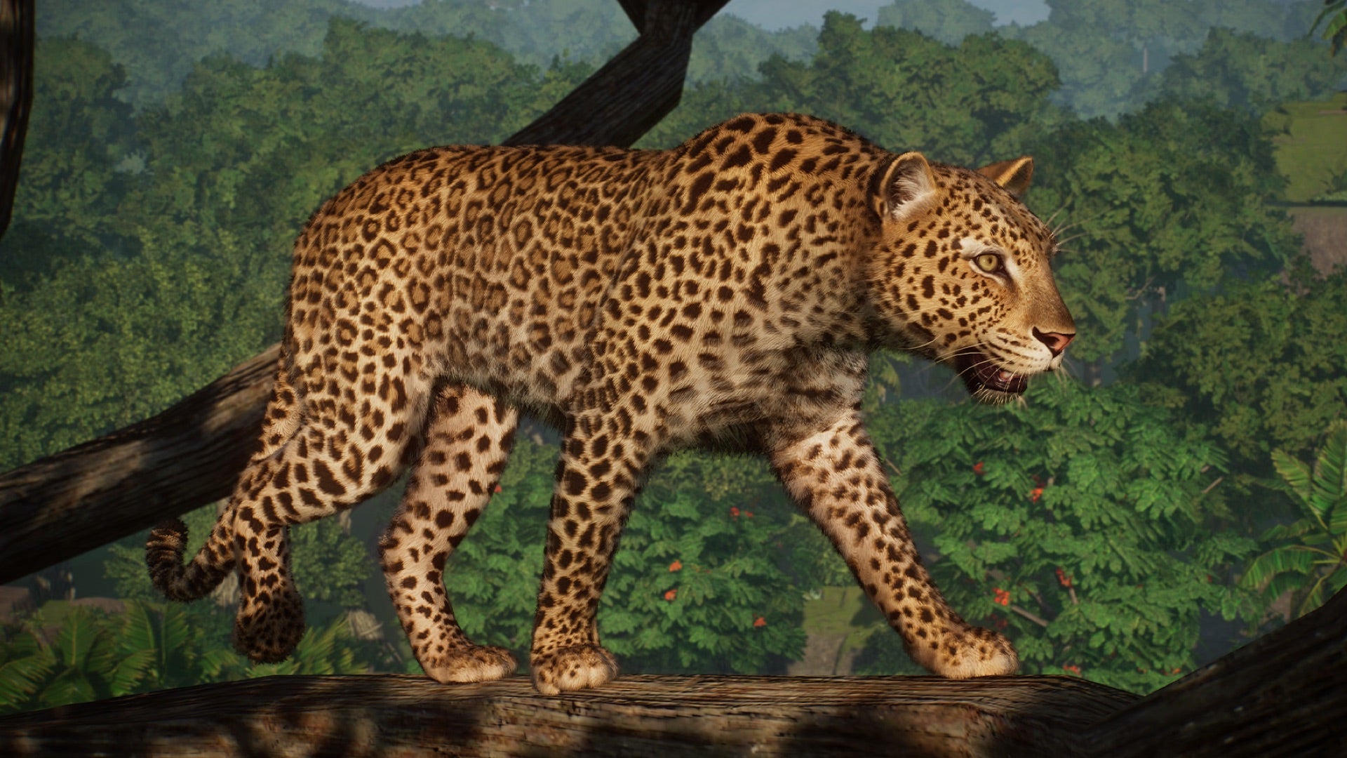 Planet Zoo&rsquo;s African Leopard.