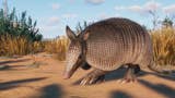 Planet Zoo adds emus, armadillos, and more in new Grasslands expansion