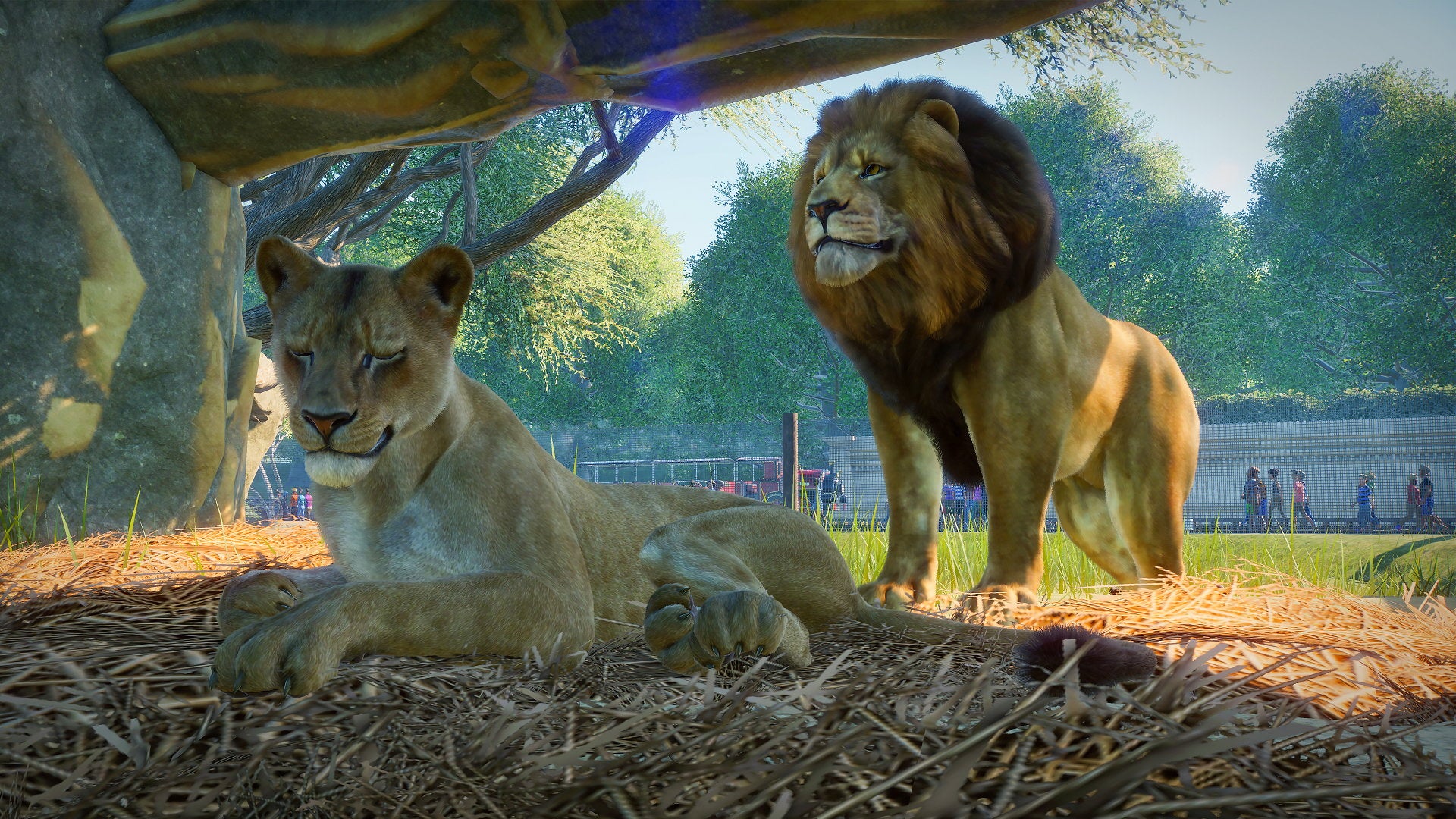 Planet Zoo Rides Planet Coaster: the best parks, rides and other creations | Rock Paper ...