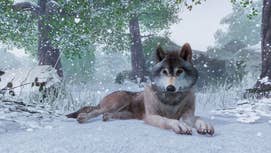 Planet Zoo out in November, check out the fun E3 trailer