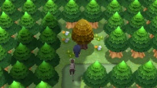 Pokémon Diamante Lucente e Perla Splendente - Gli Alberi da Miele e i relativi Pokémon