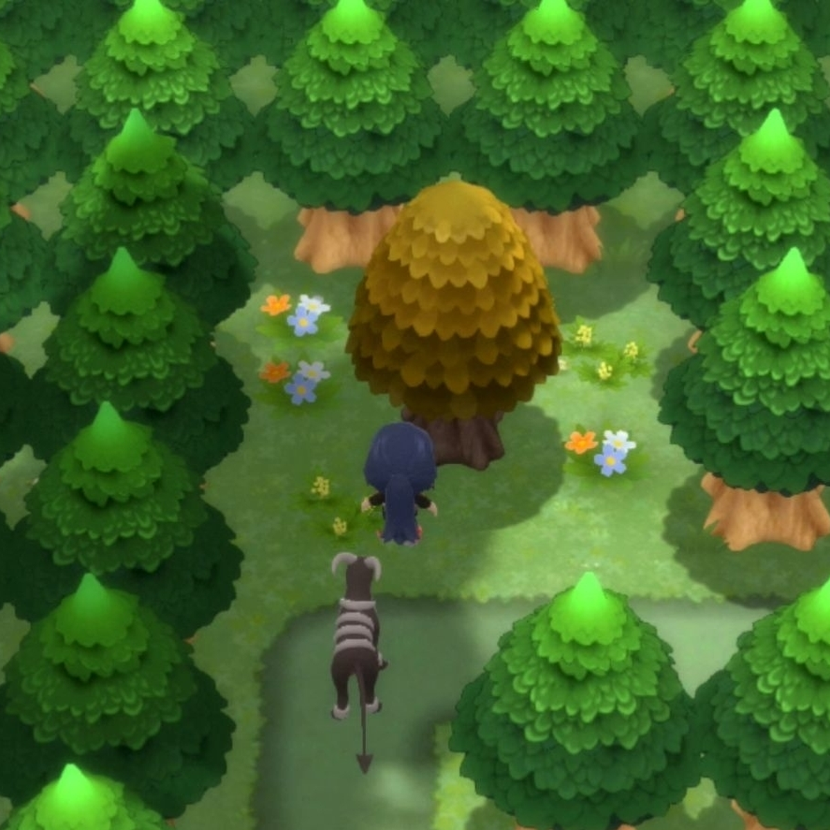 Honey tree Pokmon spawn list and wait time in Pokmon Brilliant Diamond and Shining Pearl explained | Eurogamer.net Honey tree Pokmon spawn list and wait time in Pokmon Brilliant Diamond and Shining Pearl explained | Eurogamer.net