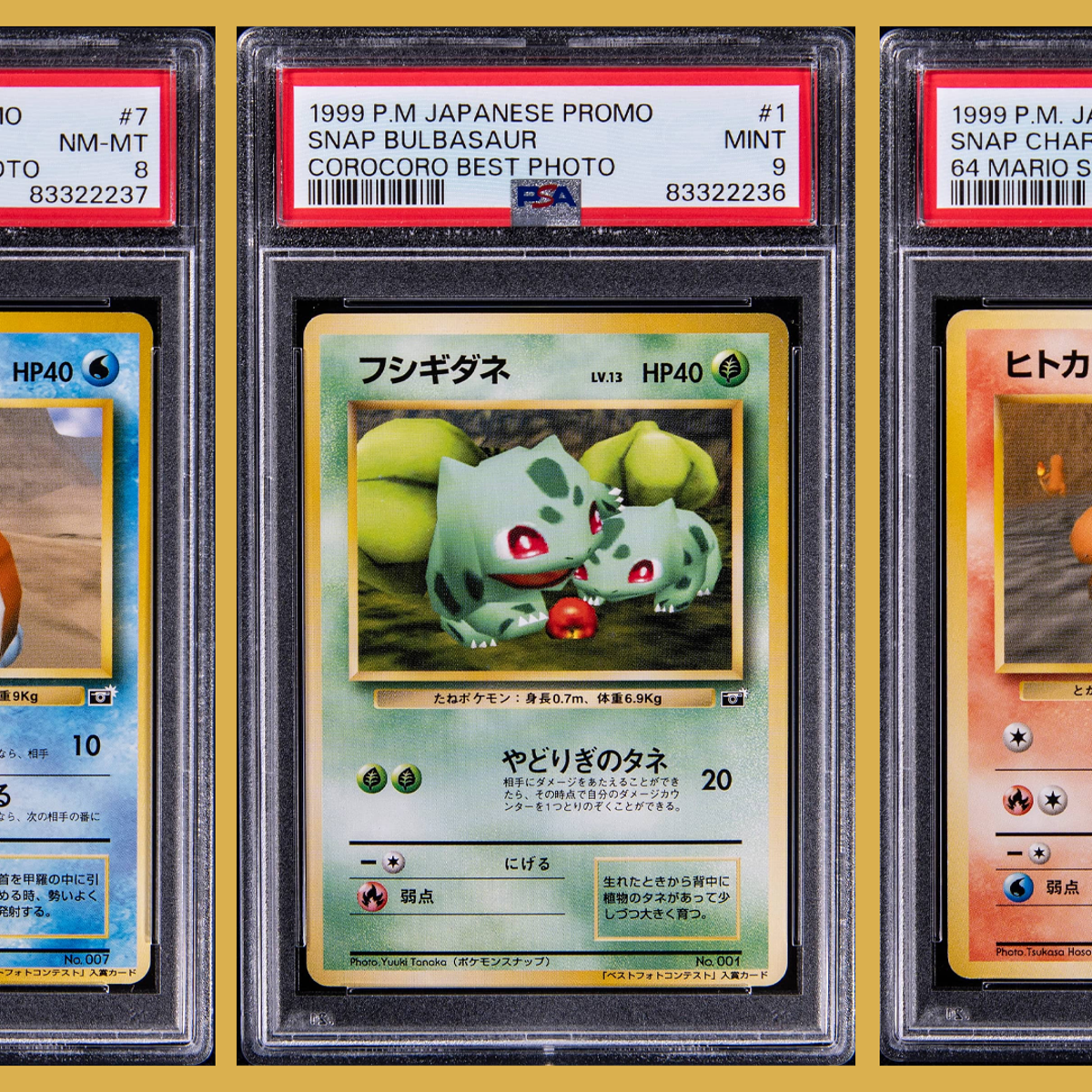 These Squirtle, Bulbasaur and Charmander cards won Pokmon Snap photo contests - and just sold for record sums | Dicebreaker These Squirtle, Bulbasaur and Charmander cards won Pokmon Snap photo contests - and just sold for record sums | Dicebreaker