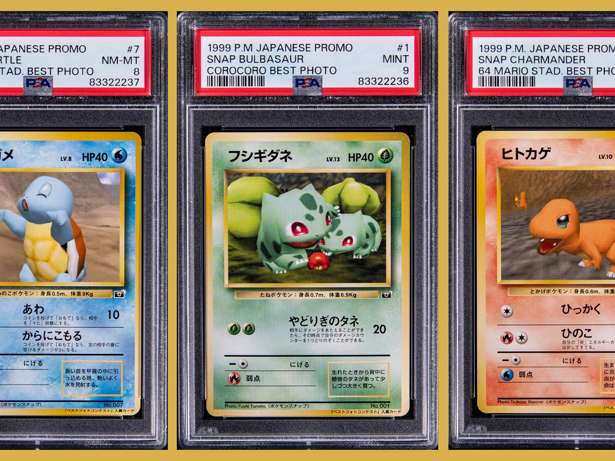 These Squirtle, Bulbasaur and Charmander cards won Pokmon Snap photo contests - and just sold for record sums | Dicebreaker These Squirtle, Bulbasaur and Charmander cards won Pokmon Snap photo contests - and just sold for record sums | Dicebreaker
