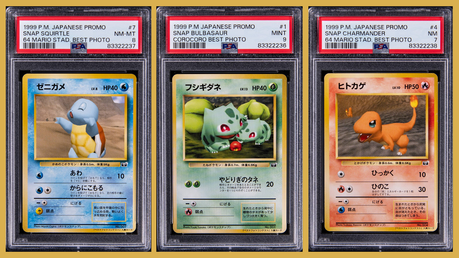 These Squirtle, Bulbasaur and Charmander cards won Pokmon Snap photo contests - and just sold for record sums | Dicebreaker These Squirtle, Bulbasaur and Charmander cards won Pokmon Snap photo contests - and just sold for record sums | Dicebreaker