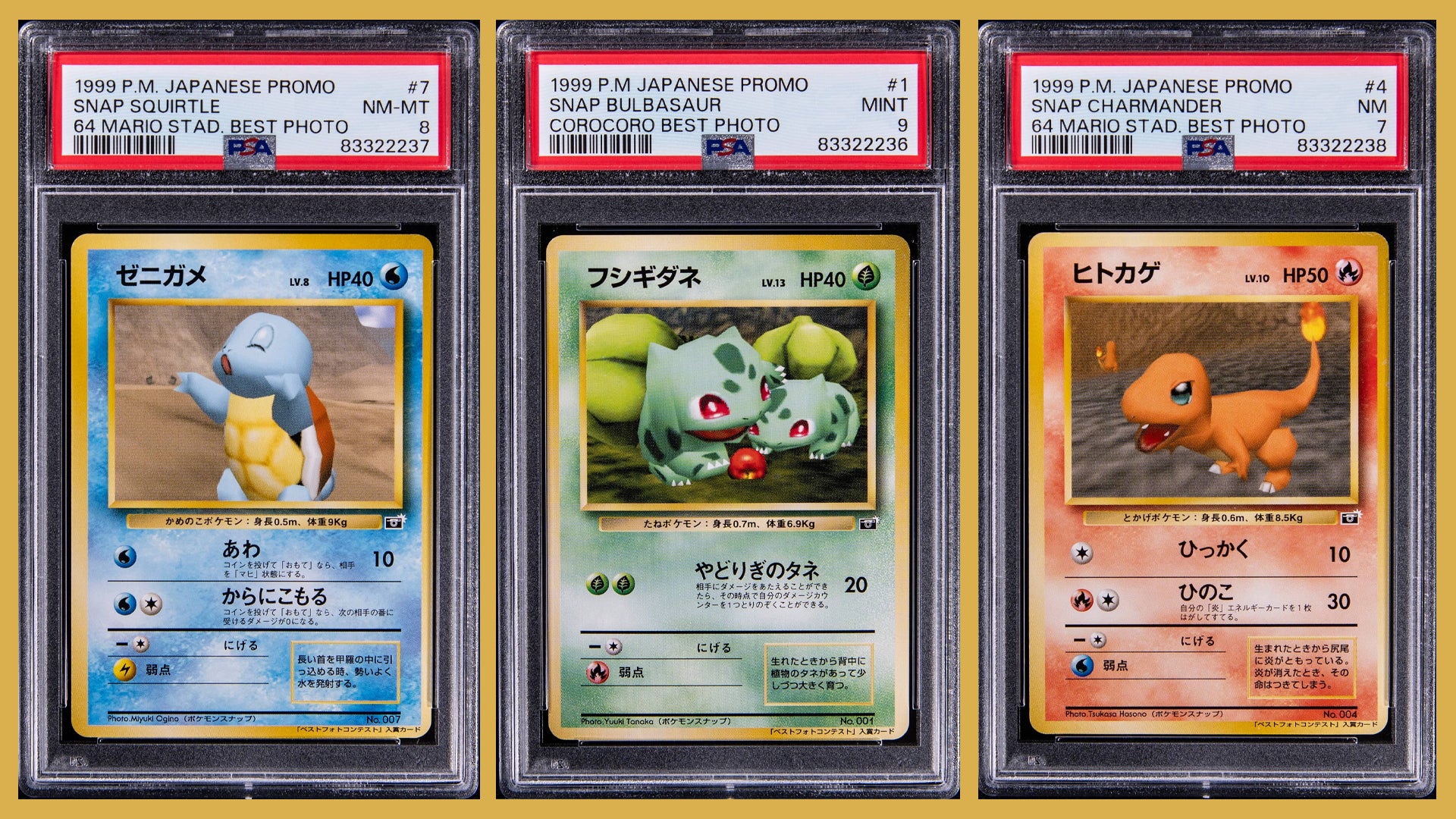 These Squirtle, Bulbasaur and Charmander cards won Pokmon Snap photo contests - and just sold for record sums | Dicebreaker These Squirtle, Bulbasaur and Charmander cards won Pokmon Snap photo contests - and just sold for record sums | Dicebreaker