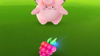 Pokémon Go - jak używać Nanab Berry, Pinap Berry i Razz Berry