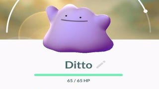 Pokémon Go Ditto: hoe Ditto vangen, shiny Ditto en welke Pokémon Ditto kunnen zijn uitgelegd