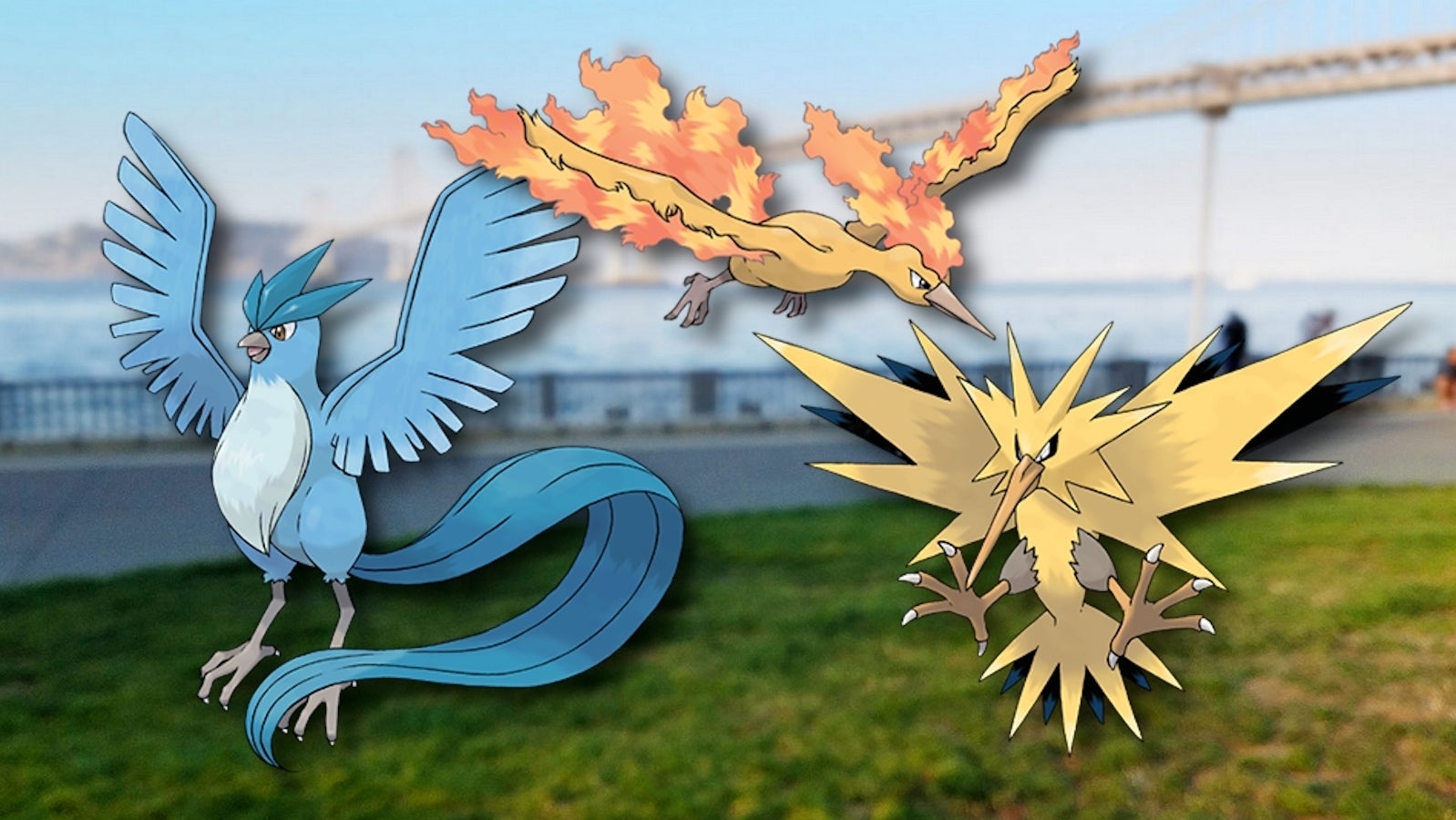 Pokémon Go Kanto Raid-Tag - Fangt Arktos, Lavados und Zapdos! | Eurogamer.de