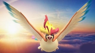 Pokémon Go Mega Pidgeot counters, weaknesses and moveset explained