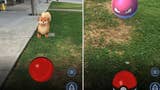 Pokémon Go - Raschelndes Gras und Fußspuren - das steckt dahinter
