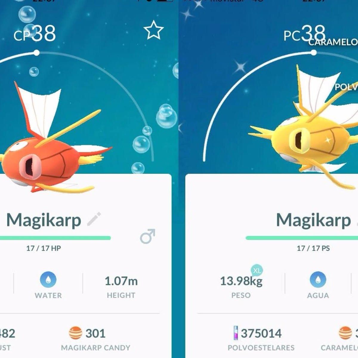 Pokemon Shiny Magikarp Meta's Art — Shiny Magikarp Collab With My
