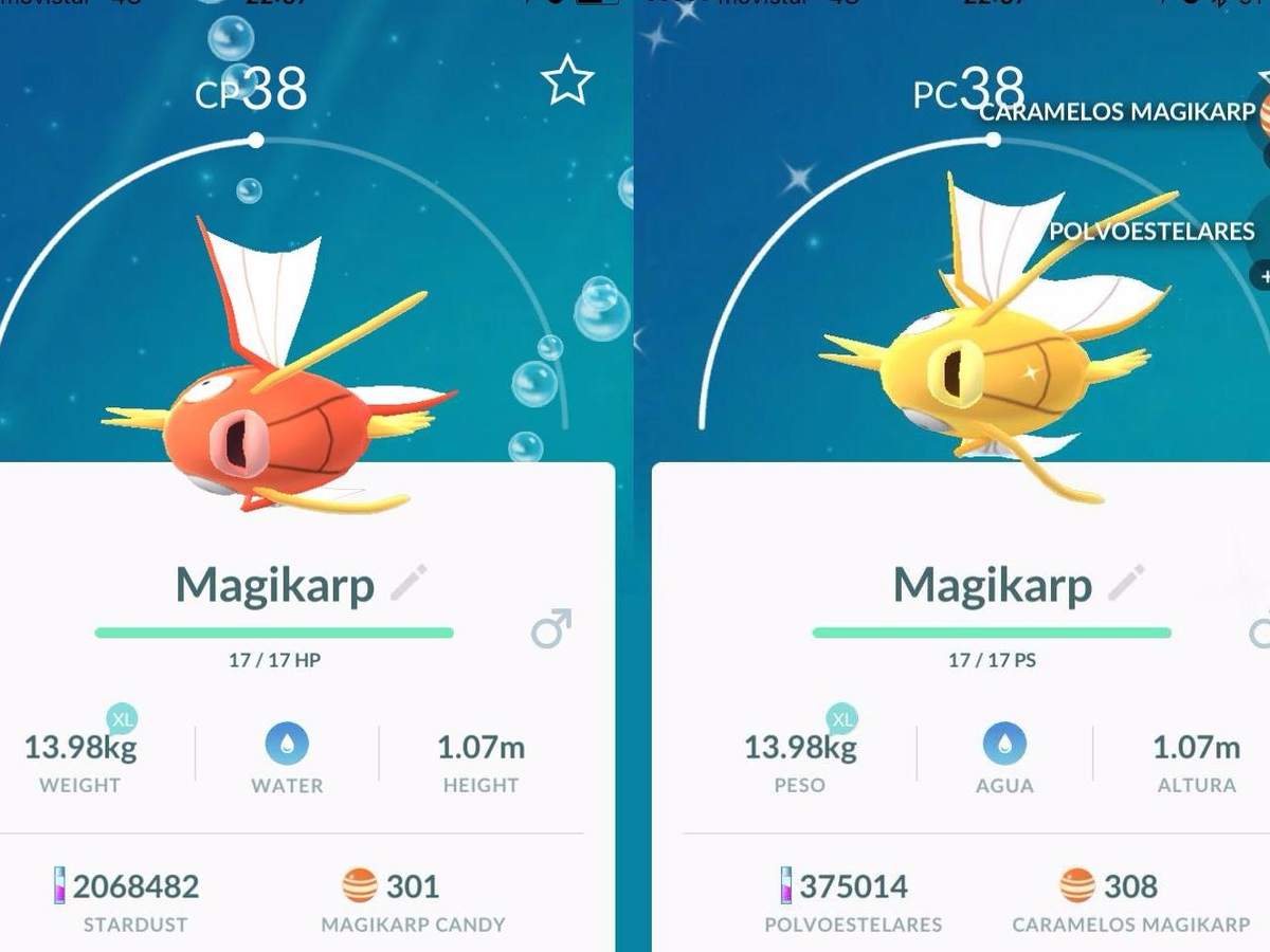 Magikarp Gyarados