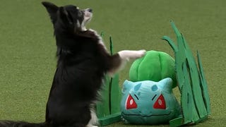 Pokémon has come to Crufts