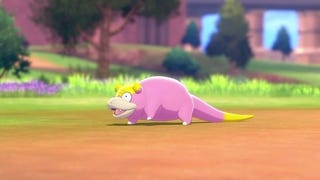 Pokémon Isle of Armor - escaped Slowpoke locations: How to find the three Slowpoke and outfit for the first Dojo challenge