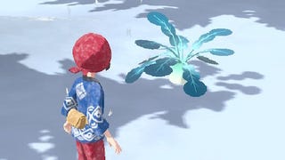 Pokémon Legends Arceus - Sand Radish locations for Request 71 explained