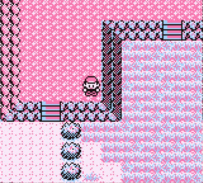 Red walking through the second area of the Safari Zone towards the Surf HM in Pokemon Red.