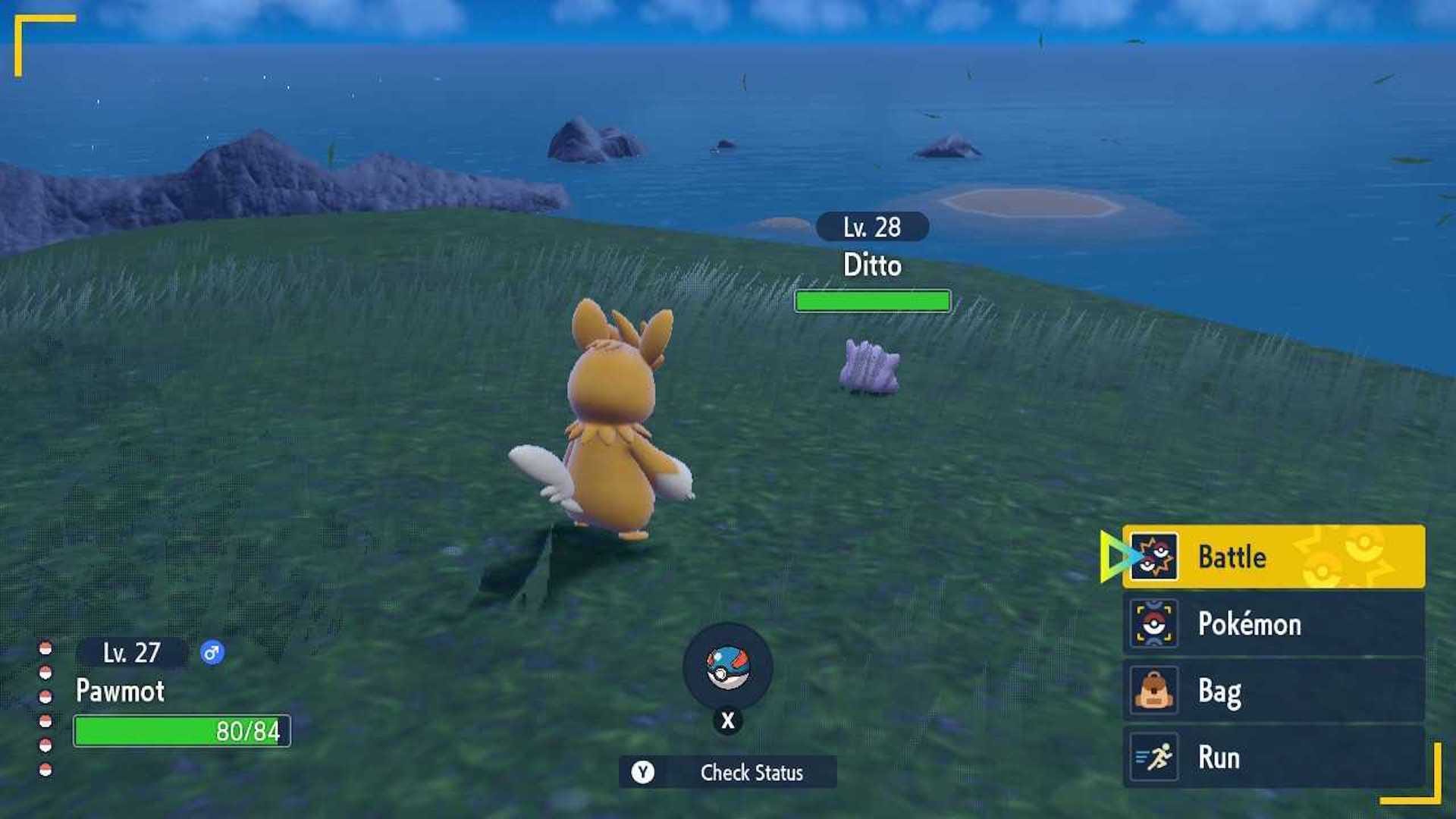 Ditto Ladder Where to find Ditto in Pokémon Scarlet and Violet | Eurogamer.net