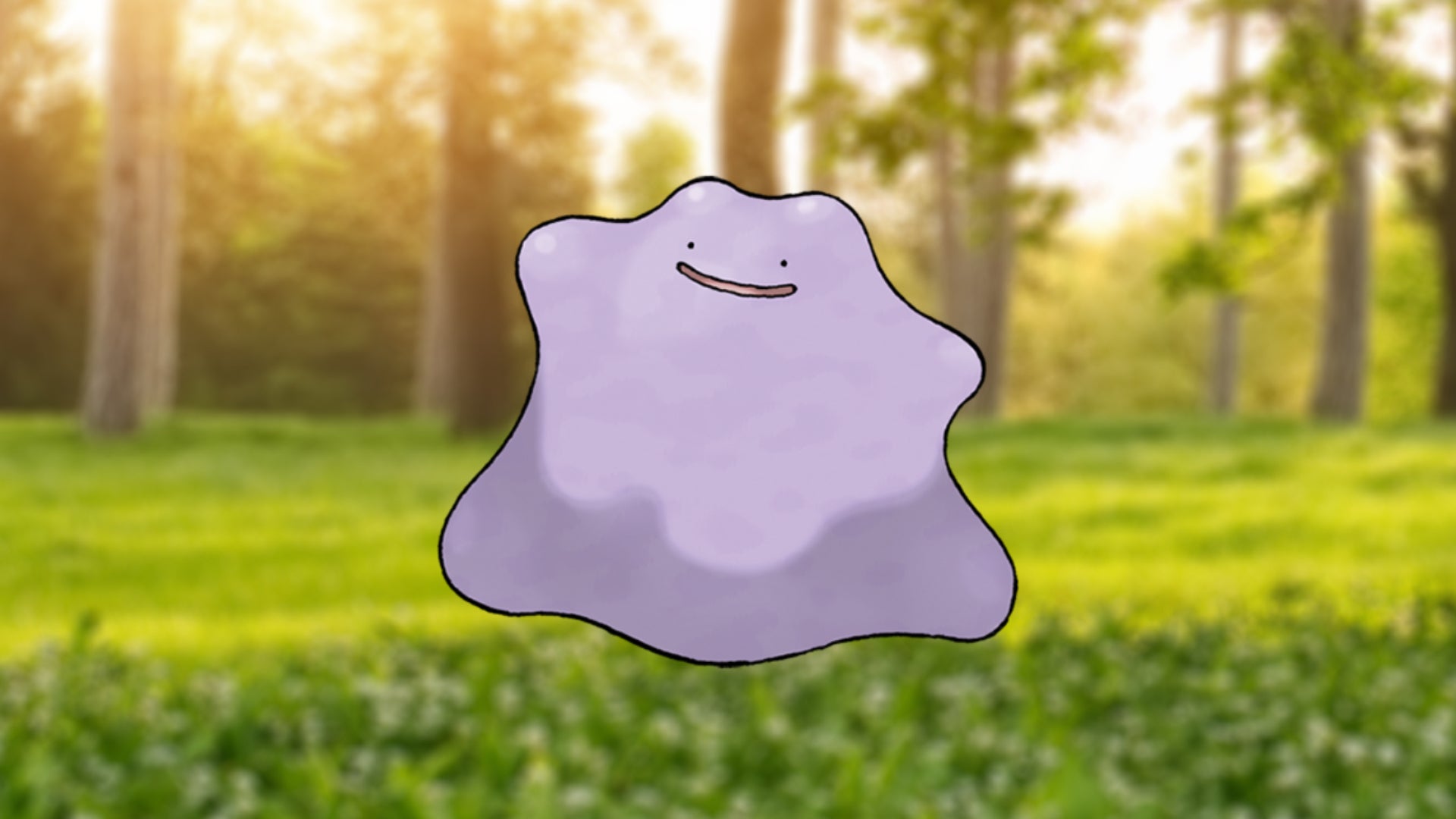 Ditto wallpaper | Cute wallpapers, Pokemon, Video game memes