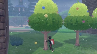 Pokémon Schwert und Schild - Fundorte der Beerenbäume mit Karte! Und welche Beeren es gibt